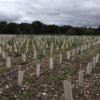 50 Manchons de protection vigne 10 x 50, 400G – Image 3